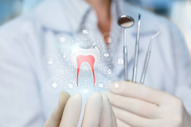  Live Oak, TX Dental Services Pros